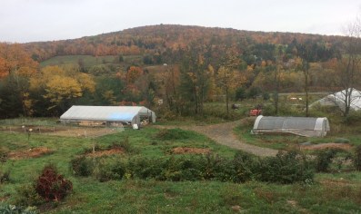 Fall on the Farm